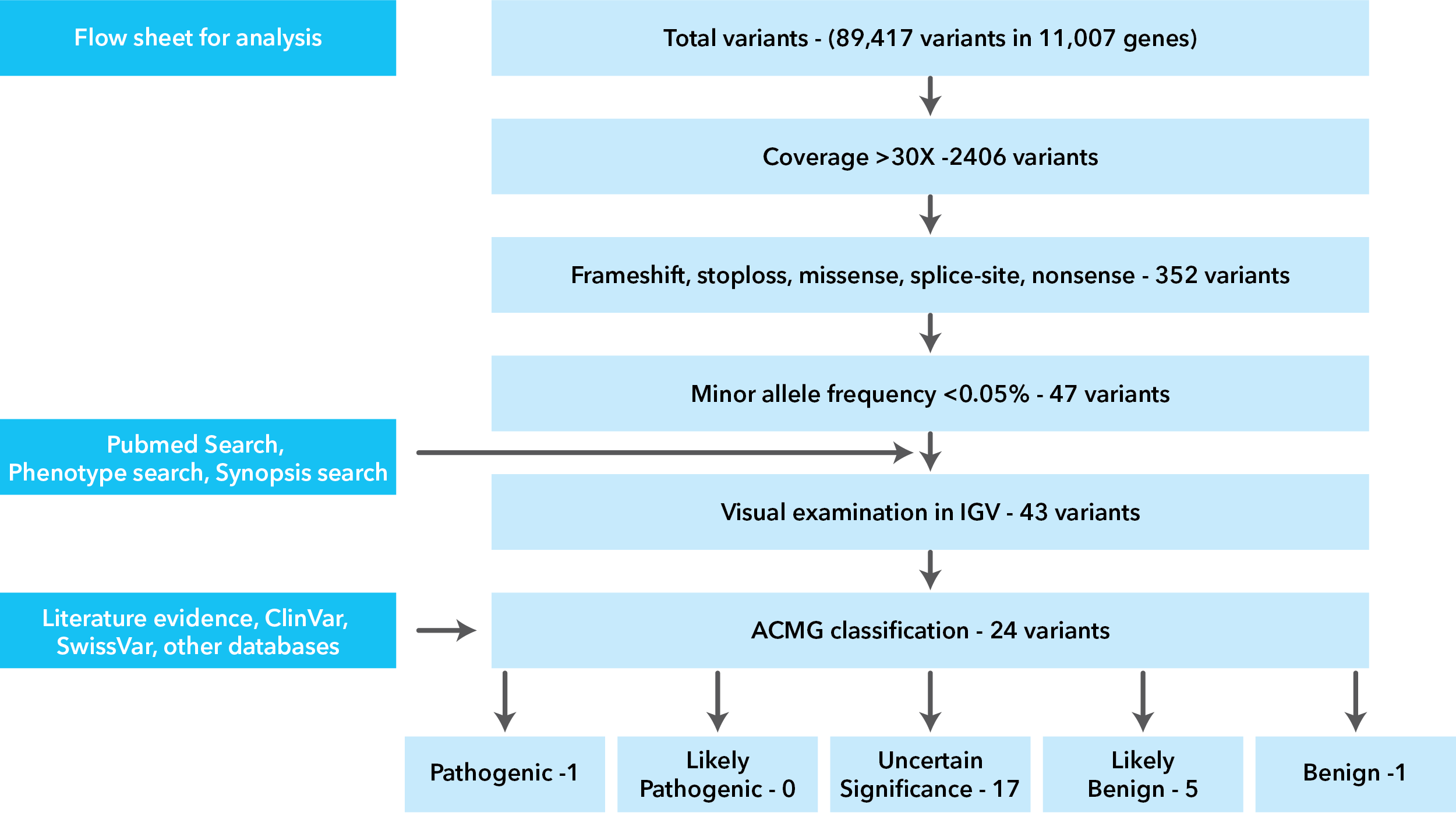 Argininemia Bioinformatics Flowchart
