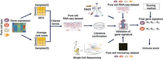 Gene expression signature profile