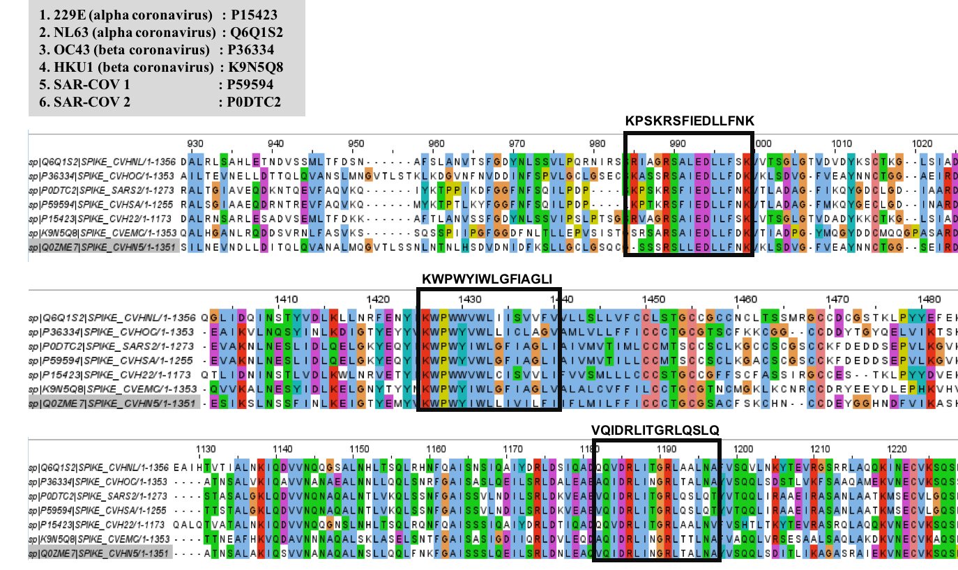 Globally dominant common cold Coronavirus strains