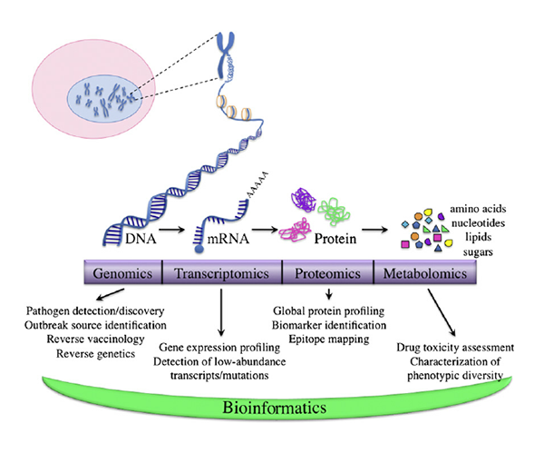 Downstream Applications of NGS