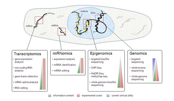 NGS Sequencing Types