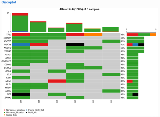 Oncoplot displaying the somatic landscape