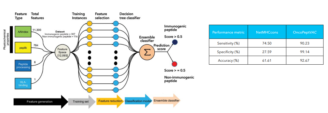 : Schematic of OncoPeptVACTM workflow and performance metrics