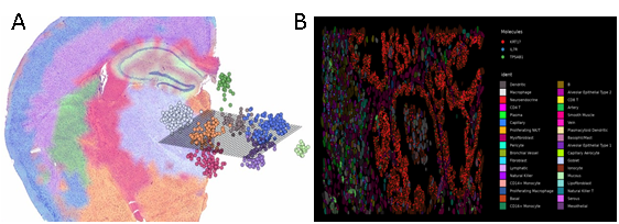 Figure shows how spatial transcriptomics