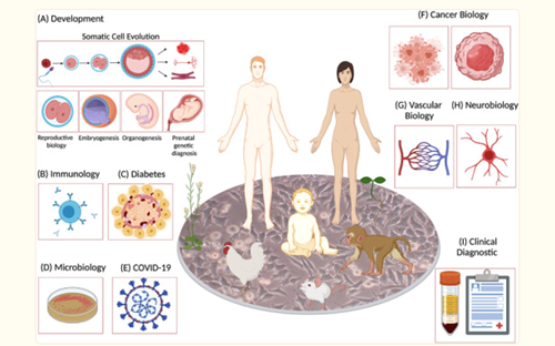 Applications of Single – Cell sequencing Technology