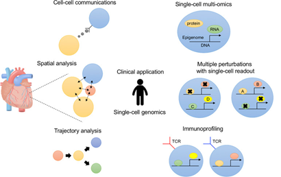 Overview of single-cell Genomics to understand disease pathogenesis