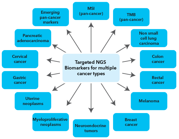 Targeted NGS Biomarkers for multiple cancer type