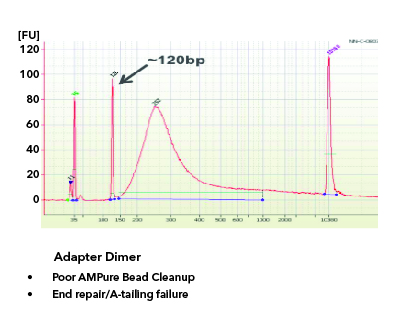 Adapter Dimer