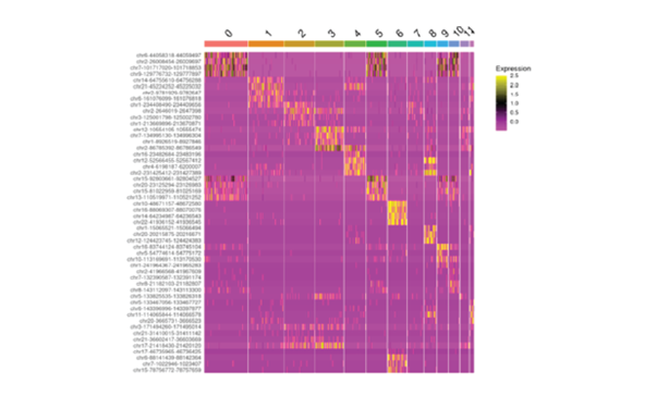 Heatmap showing differential peak accessibility between clusters