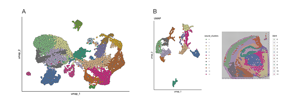 Bioinformatics analysis outputs