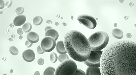 Signios Bio Hematology Brochure