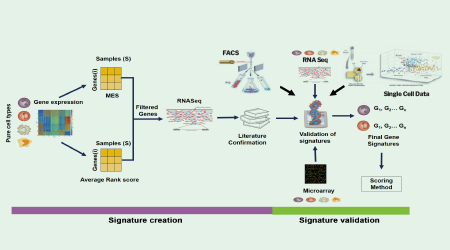 Signios Bio OncoPeptTUME Whitepaper
