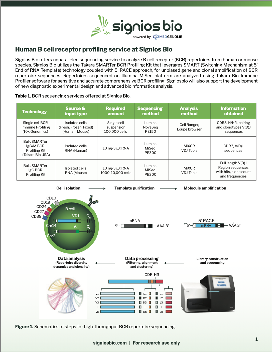 Receptor Profiling Signios Bio B Cell Receptor Profiling Whitepaper