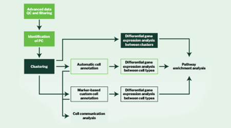 Signios Bio Advanced Single-Cell Analysis Whitepaper