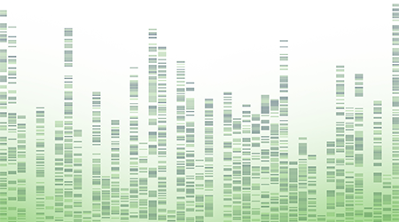 Signios Bio Bioinformatics Services
