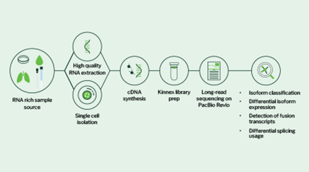 Signios Bio Full-Length RNA Sequencing Whitepaper