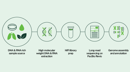 Signios Bio Genome Assembly and Annotation Whitepaper