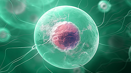Single-Cell Sequencing Solutions Whitepaper
