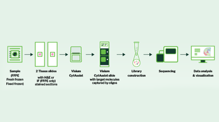 Signios Bio Spatial Transcriptomics Whitepaper