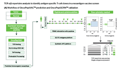 Signios Bio T Cell Receptor Repertoire Sequencing Whitepaper