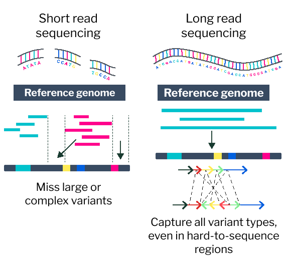 Long and short rna