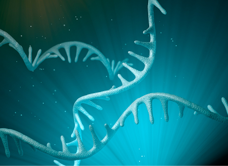RNA sequencing services
