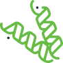 Proteomics services