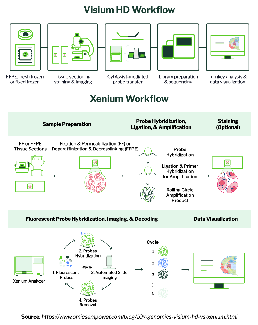 Workflow-and-Analysis