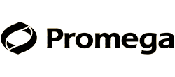promega