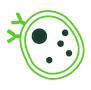 Immune Profiling