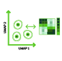 Single-Cell Correlation