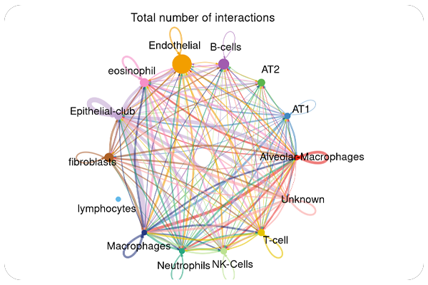 Cell-to-Cell Interaction