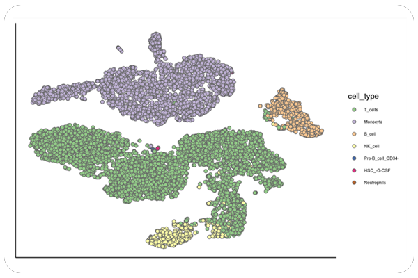 Cell-Type Annotation & Subpopulation Distribution
