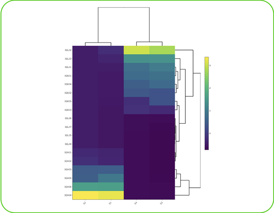 Dendogram