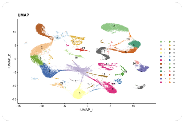 Dimensionality Reduction (UMAP / t-SNE) Cluster Plots