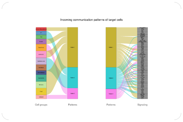 TCR/BCR Clonal Frequency Repertoire Maps