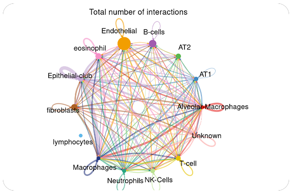 Cell-to-Cell Interaction