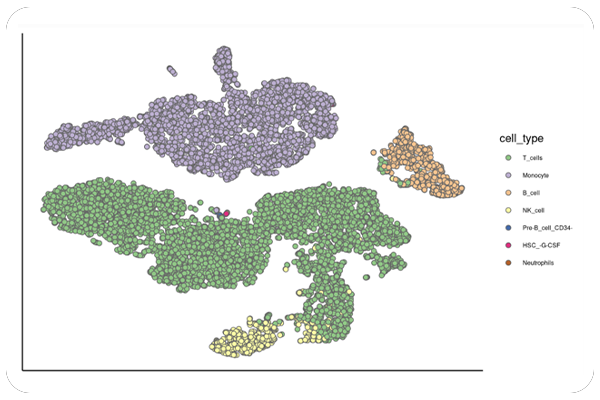 Cell-Type Annotation & Subpopulation Distribution
