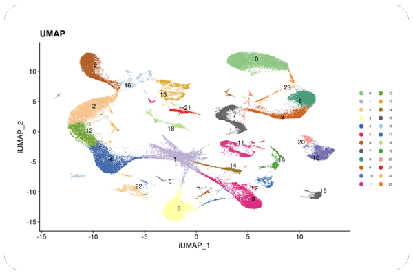 Dimensionality Reduction (UMAP / t-SNE) Cluster Plots