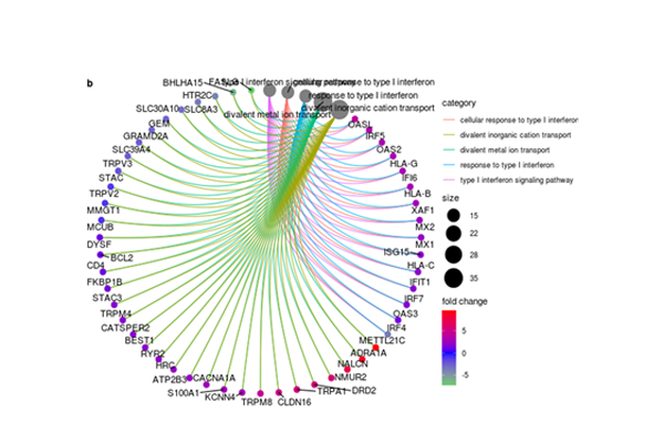 Gene Networks