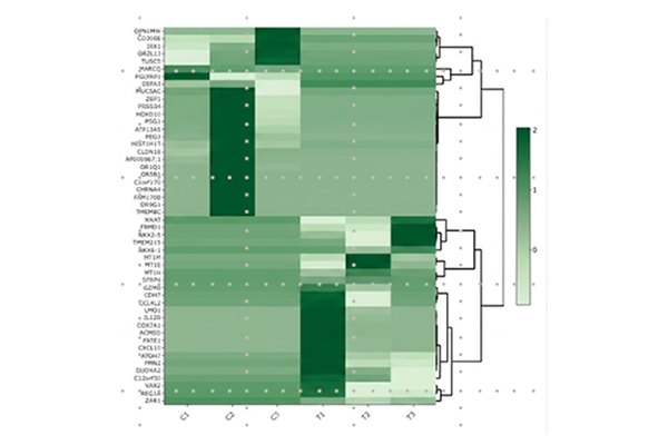 Heatmap