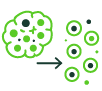 Advanced Tissue Dissociation