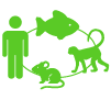 Broad Species & Chain Support