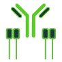 Immune Repertoire Mapping