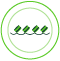 Immunogenomic Signal