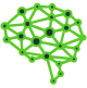 Neurobiology & Brain Mapping