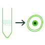 Optimized Nuclei Isolation