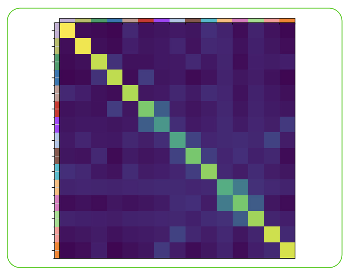 Neighborhood Analysis