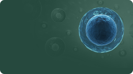 Single Cell Sequencing Featured services