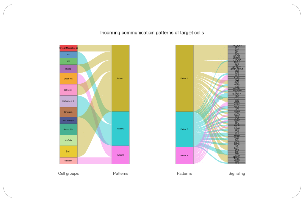 TCR/BCR Clonal Frequency Repertoire Maps